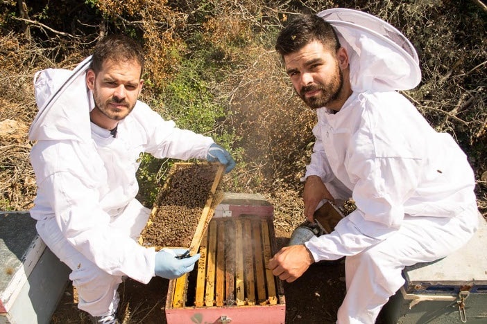 Arkadischer Honig vom Peloponnes - Imker arbeitet mit Bienen