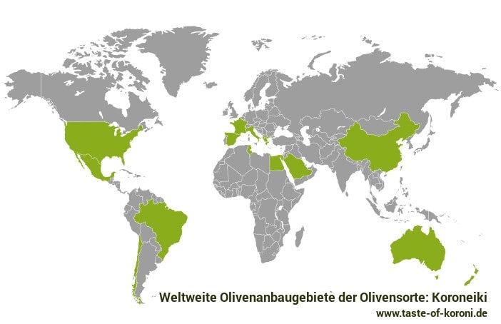 Weltweite Olivenanbaugebiete Koroneiki Olive